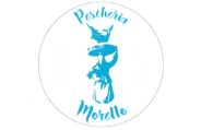 Logo di Pescheria Morello con ancora e pesci per il sito web