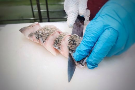 Sfilettatura e pulizia professionale del pesce fresco alla Pescheria Morello
