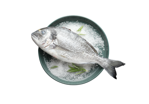Pesce fresco a Messina: orata fresca e pulita pronta da cuocere della Pescheria Morello