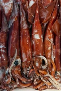 Calamari e pesce fresco a Messina locale pescato nello Stretto