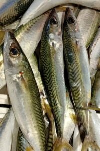 Pesce fresco a Messina pronto per il servizio di pulizia e sfilettatura