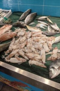 Calamari freschi e pronti da portare via