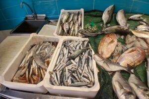 Vasche di pesce azzurro fresco a messina