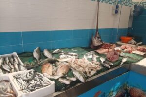Pesce fresco a Messina selezionato sul banco della Pescheria Morello